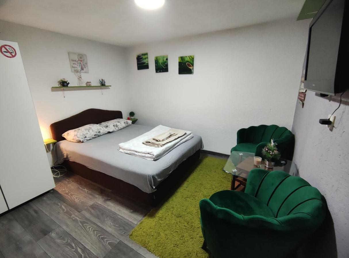 Vini Studio With Private Parking 斯科普里 外观 照片